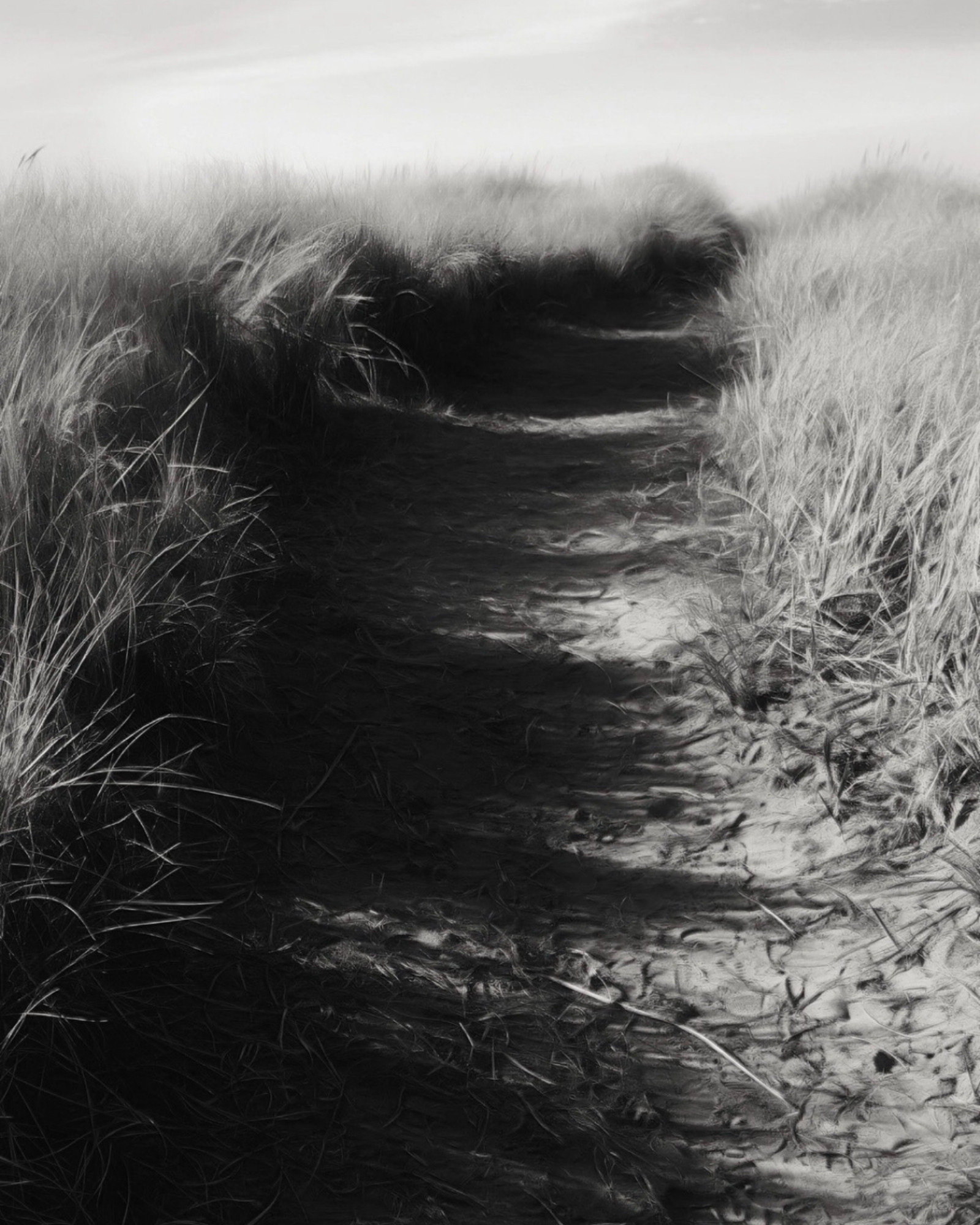 Black-and-white path cutting through tall beach grass, with a dark shadow occupying much of the foreground
